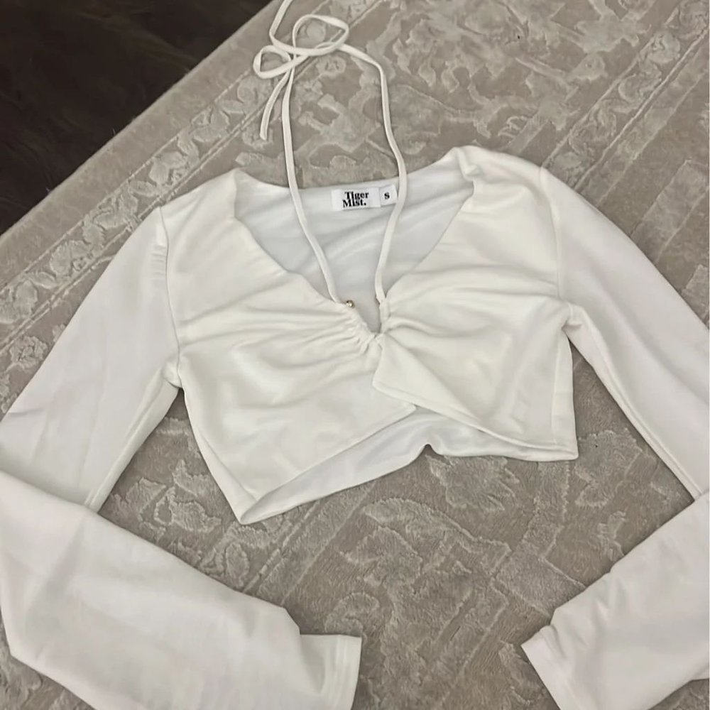 Tiger mist long Sleeve Crop top